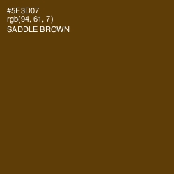 #5E3D07 - Saddle Brown Color Image